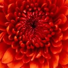 Елена, г. Рыбинск