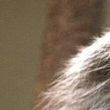 ЕВГЕНИЯ ПЕТРОВНА, г. Москва