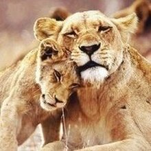 Самонина Анджела Руслановна, г. Севастополь