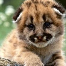 Владимир, г. Ростов-на-Дону