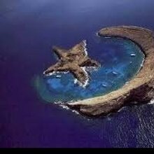 Хаким, г. Пушкино