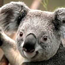 Дмитрий Валентинович Полын, г. Радужный