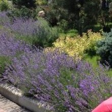 Евгения владимировна, г. Надым