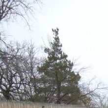 Юлия Андреевна, г. Краснослободск