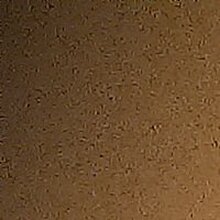 Анжелика Олеговна, г. Железногорск