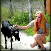 Ангел справедливости, г. Москва