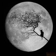 Татьяна Владимировна, г. Жирновск