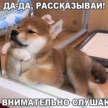 Снежко Виталий Викторович, г. Коряжма