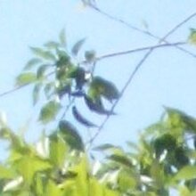 Ольга Викторовна, г. Краснознаменск