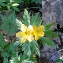 Александра Евгеньевна, г. Орёл