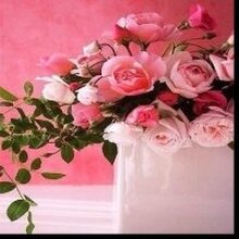 Алина Васильевна, г. Владимир