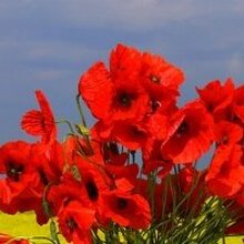 РАИСА МИХАЙЛОВНА, г. Пермь