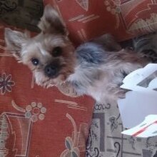 Екатерина, г. Хабаровск