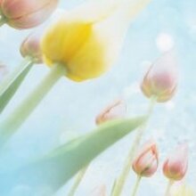 Мария Владимировна, г. Уфа