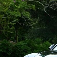 Дмитрий, г. Владимир