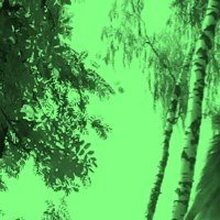 Александр Алексеевич, г. Кузнецк