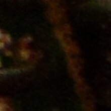 Галина александровна, г. Барнаул