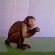 Яковлев Сергей Евдокимович, г. Южно-Сахалинск