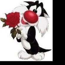 Роман Игоревич, г. Курган