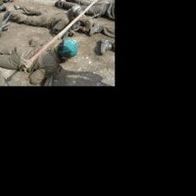 Никита Андреевич, г. Глазов