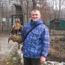 Помощник адвоката Гребнев Андрей Павлович, г. Владивосток