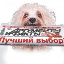 «Аргументы и факты - Петербург», г. Санкт-Петербург