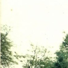 Акимова Анна, г. Симферополь