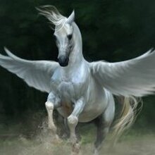 Елена Анатольевна, г. Усть-Кут