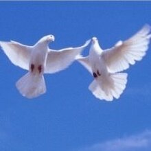 Ирина Сергеевна, г. Новосибирск