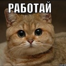 Юрисконсульт Кощеева Алла Валерьевна, г. Пермь