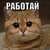 Юрисконсульт Кощеева Алла Валерьевна, г. Пермь