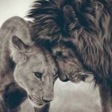 Дарья александровна, г. Нижнекамск