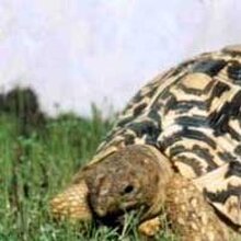 Андрей Евгеньевич, г. Томск