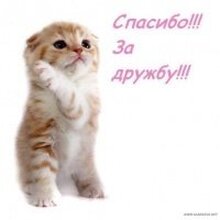 Олеся Витальевна, г. Новоуральск