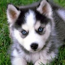 Виталий, г. Холмск