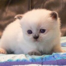 Татьяна, г. Орск