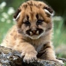 Елена Николаевна, г. Лиски