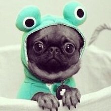 Татьяна, г. Саратов