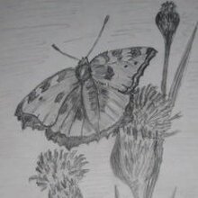 Людмила Евгеньевна, г. Екатеринбург