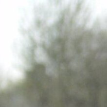 Алеся Владимировна, г. Санкт-Петербург