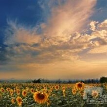 С ув.Ольга, г. Великий Новгород