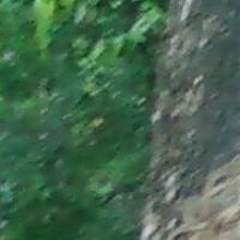 Ольга Александровна, г. Арзамас