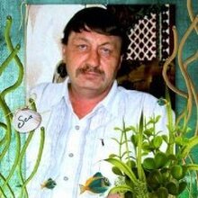 Сергей Николаевич, г. Новотроицк