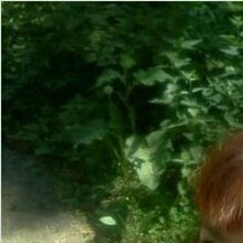 Наталья Николаевна, г. Новосибирск