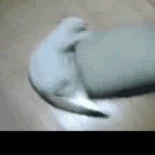 Наталья Юрьевна, г. Вязьма