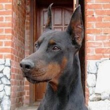 Алексей, г. Прохладный