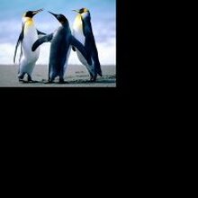 Сергей, г. Москва