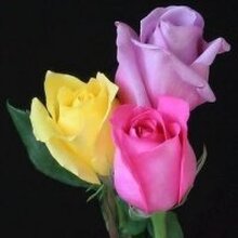 Галина, г. Симферополь