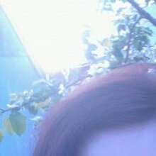 Карина, г. Омск