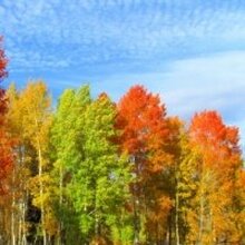 Александр, г. Шарыпово